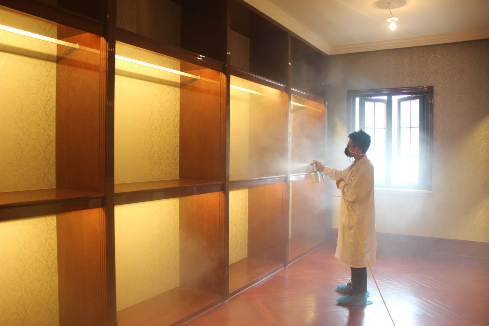 裝修后，甲醛無可避免。放一盆水除甲醛？“行家”告訴你有多扯淡