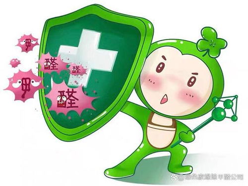 如何選擇正規(guī)除甲醛公司與空氣凈化器租賃服務(wù)