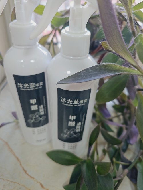 2025年新房裝修除甲醛產品效果橫評 排行榜